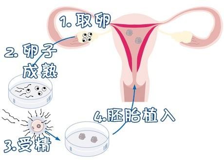 关于清砚堂中医馆